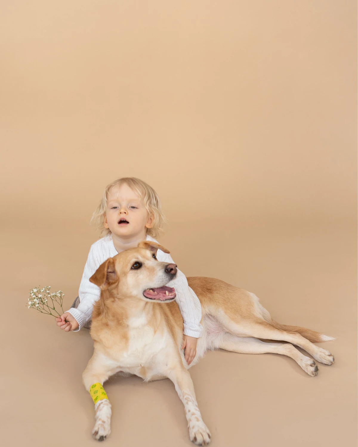 A toddler and a puppy