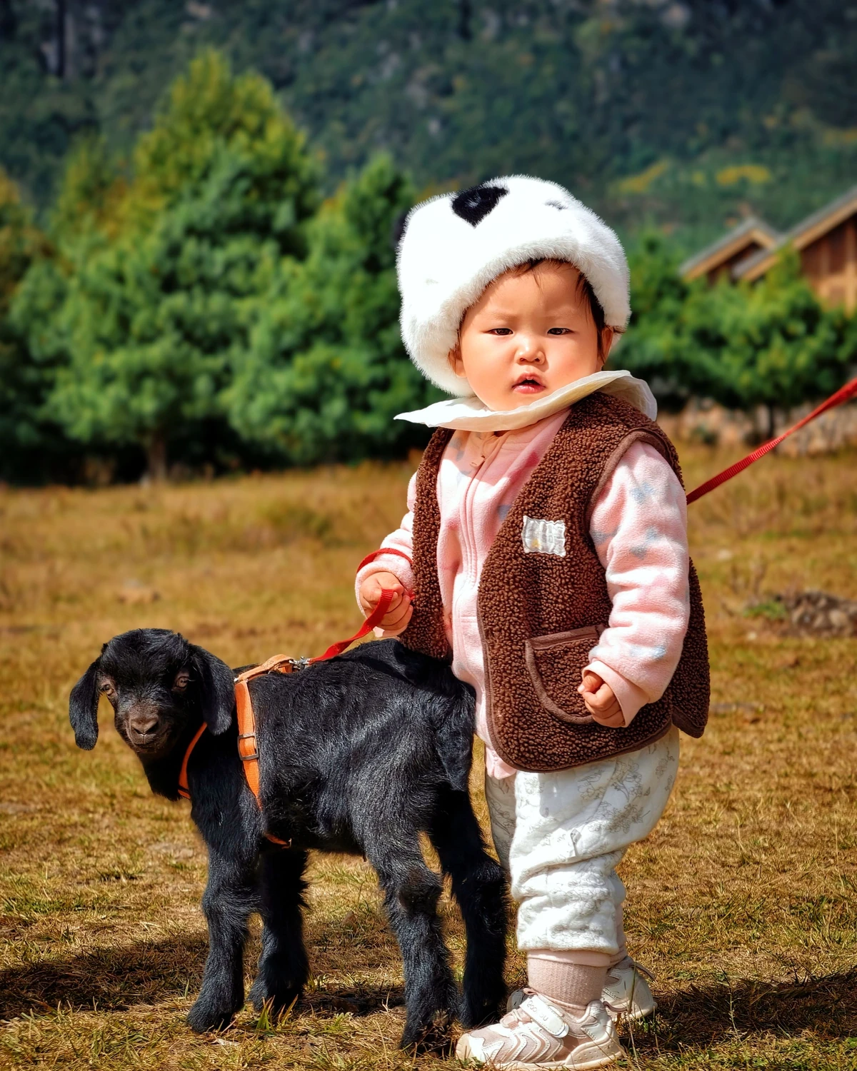 A child and a kid goat