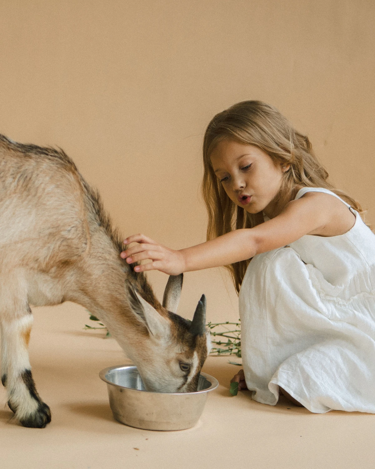 A girl and a goat