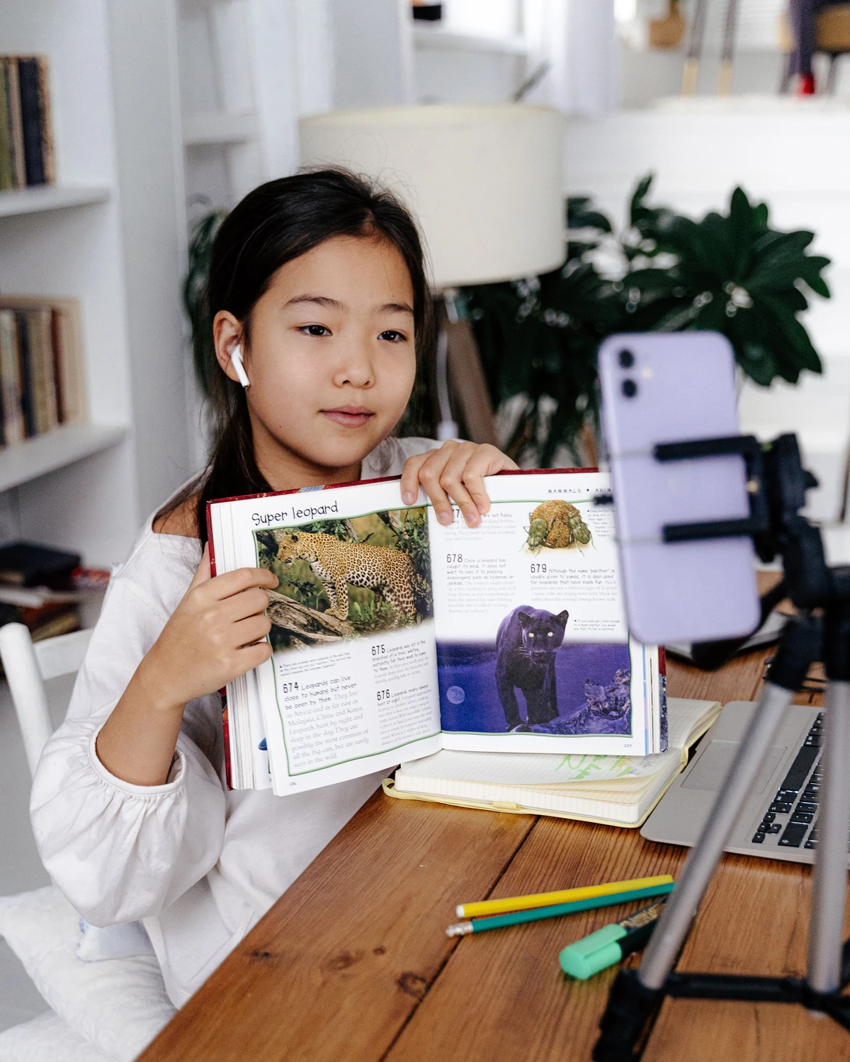A book about animals