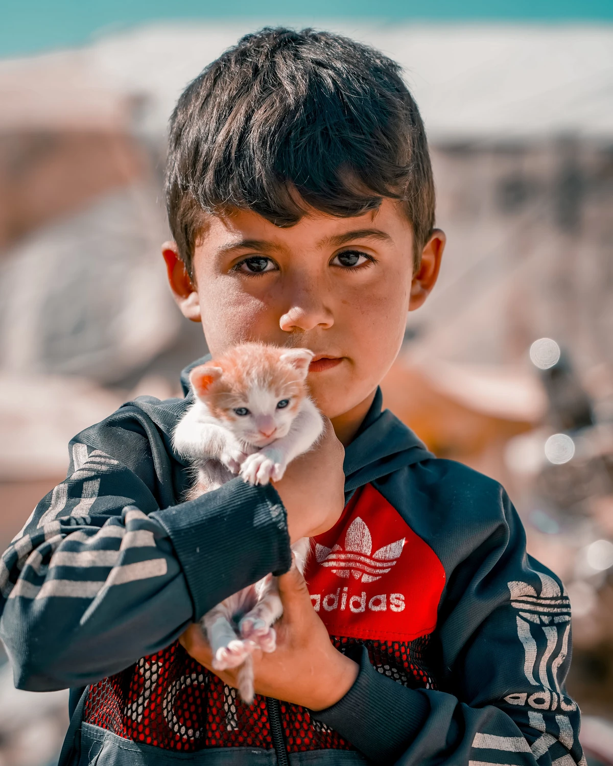 A boy and his kitten